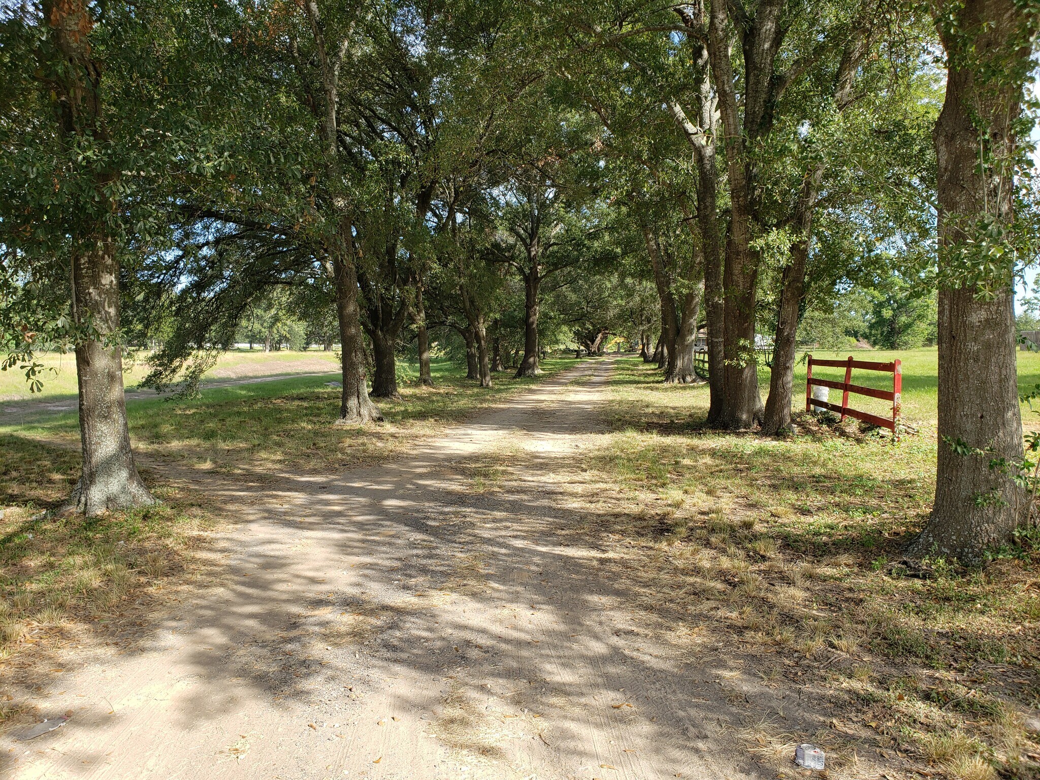 Picture of Spring Cypress Road